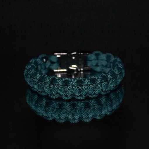 Teal buckle (1)