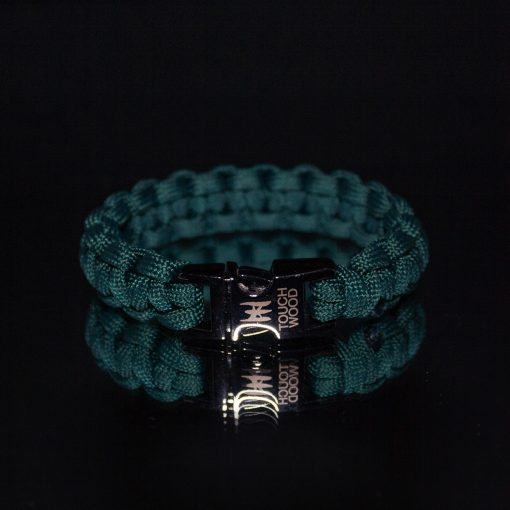 Teal buckle (2)