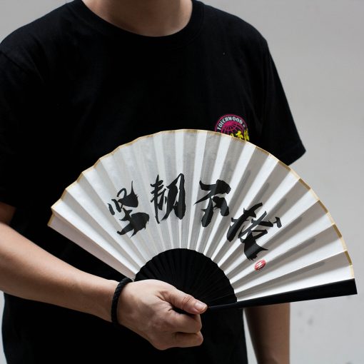 paper fan front ig 2
